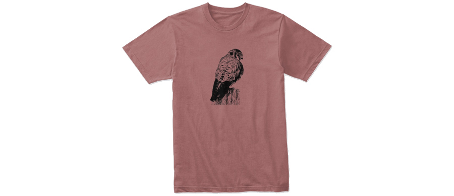 american kestrel cotton t-shirt