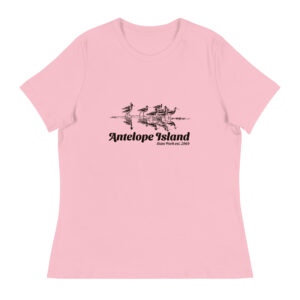 Flock of American avocets on Antelope Island women's t-shirt